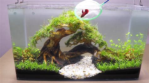 Fish Tank Decorations Diy