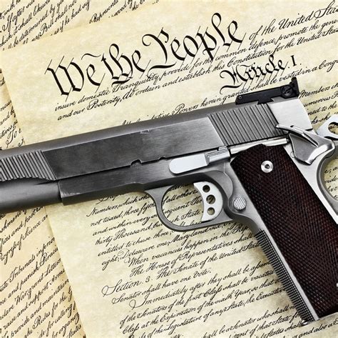 The Second Amendment & Guns 101