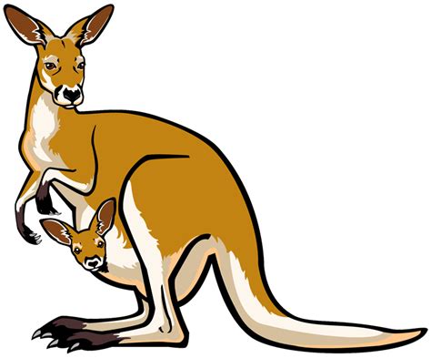 Clip art kangaroo | Clipart Panda - Free Clipart Images