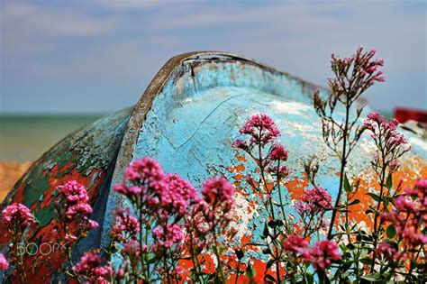 Untitled - Seen on Walmer beach. Bancroft, Trevor, Explore, Beach, Painting, Photo, Art, Art ...