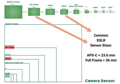 Dslr Camera Sensor Size | Hot Sex Picture