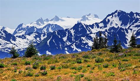 Mt Olympus in Olympic National Park, Washington