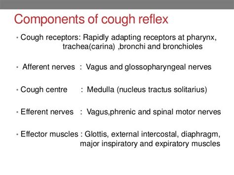 Mechanism of cough and sneeze reflex