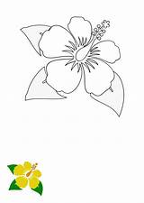 Free Hibiscus Flower Coloring Page Template To Edit Online sketch template