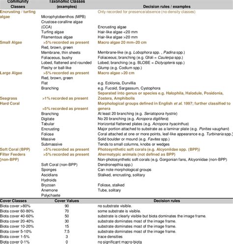 Biota classification definitions used for classifying the standard... | Download Table