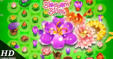 Blossom Blast Saga Free Download - Nigar Tv Free Games And Videos