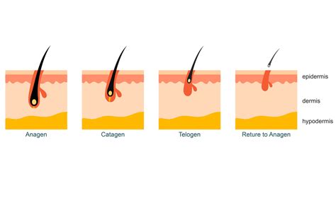 Cancer treatments cause hair loss or hair changes - Cancer Hair Care