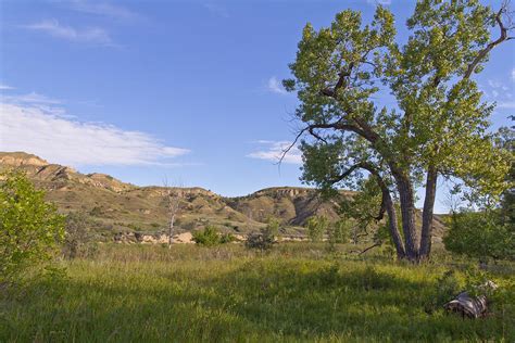 Cottonwood Campground Photograph by Wayne Vedvig - Fine Art America