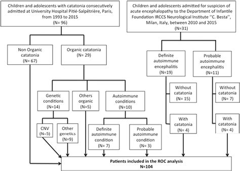 Figure 1 from A causality algorithm to guide diagnosis and treatment of catatonia due to ...