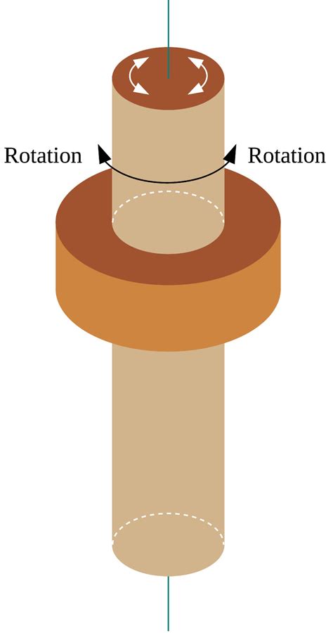 Pivot joint is a type of synovial joint that permit axial rotation 13104701 Vector Art at Vecteezy