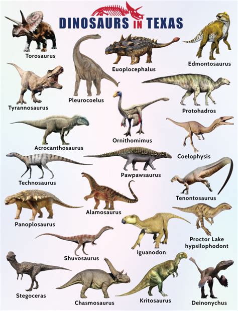 List of Dinosaurs in Texas - Facts with Pictures