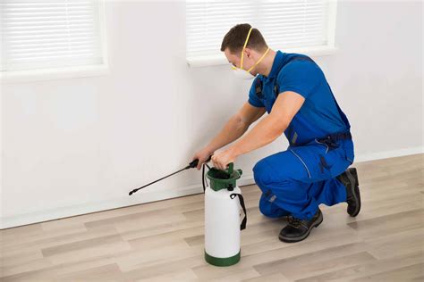 How Much Does an Exterminator Cost? (2024 Guide)