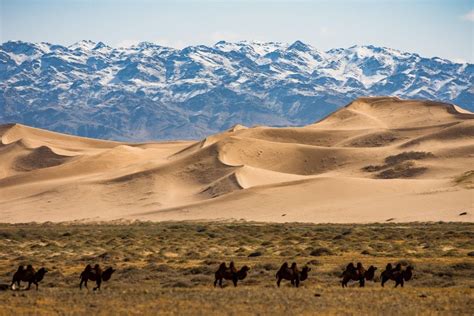 Les incontournables d’un road trip en Mongolie | OpenMinded