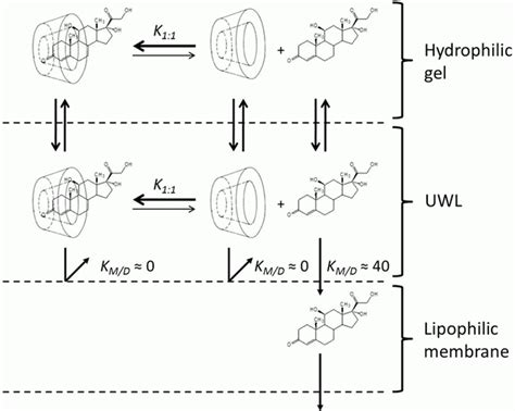 Formulation of Drug-Cyclodextrin Complexes | Plastic Surgery Key