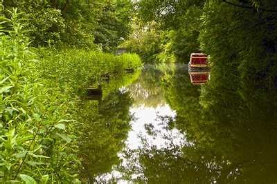 Chesterfield Canal | Natureflip