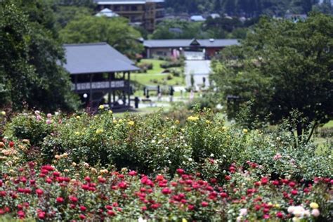 Best Flower Gardens and Parks in Japan | All Japan Tours