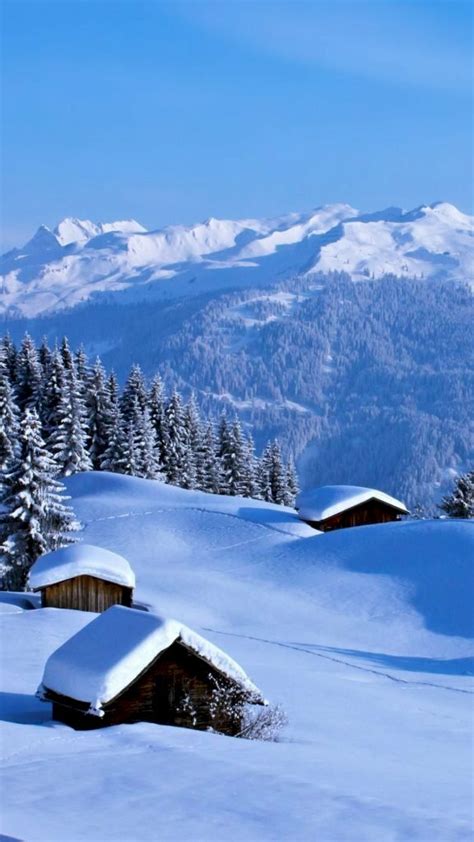 Top 101 hình nền mùa đông đẹp cho điện thoại đẹp nhất