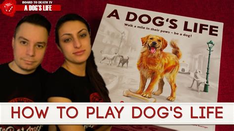 A Dog's life Board Game - How to Play - YouTube