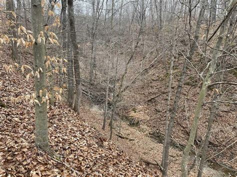 Land For Sale Morgan County, Indiana / Recreational / Tillable ...