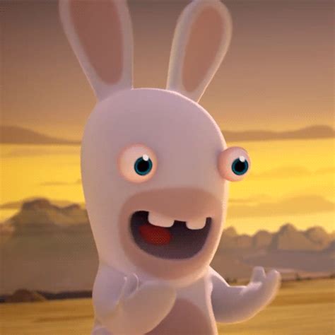 Rabbid | Cartoon Amino