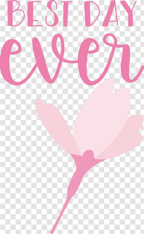 Best Day Ever Wedding Transparent PNG