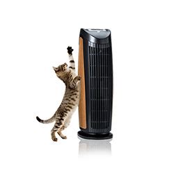 13 Best Air Purifiers for Pets - (Reviews & Buying Guide 2021)