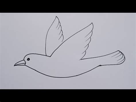 how to draw flying crow drawing easy step for beginners@DrawingTalent ...