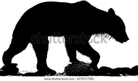 Silhouette Brown Bear On White Background Stock Vector (Royalty Free) 2270717501 | Shutterstock