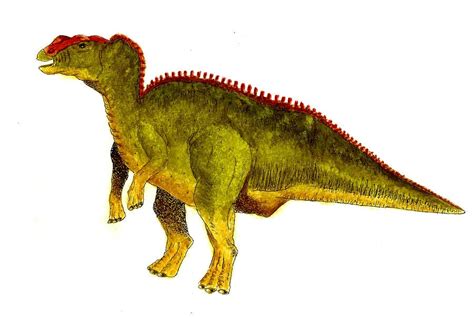 Hadrosaurus Pictures & Facts - The Dinosaur Database