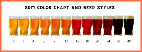 The Great Beer Color Guide: What Is SRM in Beer?