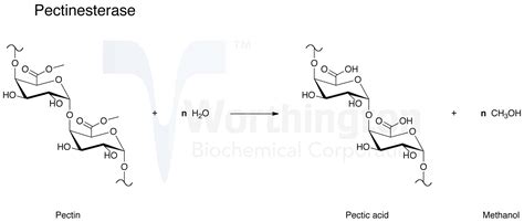 Pectinase - Worthington Enzyme Manual