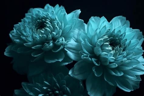 Premium AI Image | Chrysanthemum flower Generative AI nature
