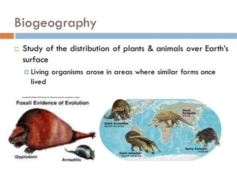 EVIDENCE FOR EVOLUTION Chapter 15. Biogeography S Study of the distribution of plants & animals ...