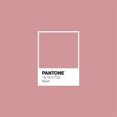 #Pantone Pink Blush #luxurydotcom Paleta Pantone, Pantone Pink, Pantone Palette, Pantone ...