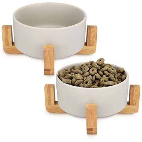 Raised Ceramic Dog Bowls at Elaine Konrad blog