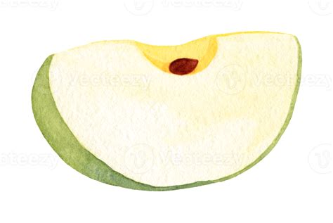 Apple green slice, hand drawn in watercolor. Isolated element on a ...