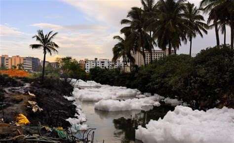 Toxic foam at Bellandur Lake in Bangalore pictures and video - Strange Sounds