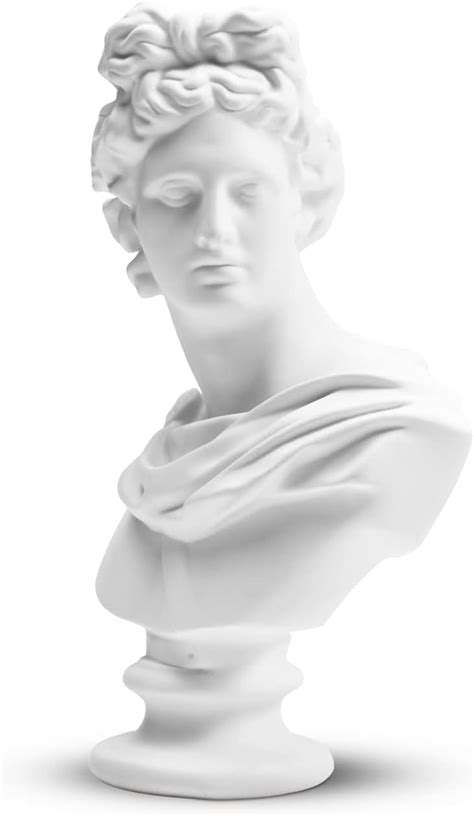 Statue Of David Head