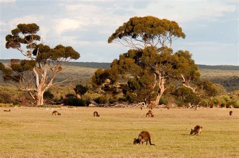 29 Places In Australia You Need To Visit Before You Die