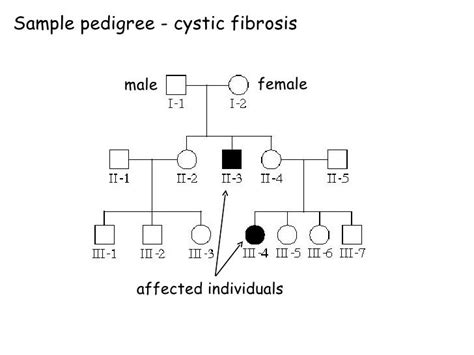 Pedigree presentation