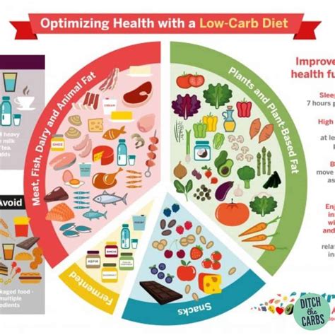 Benefits of Low Carb Diet - XanderHerbs