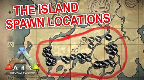 RHYNIOGNATHA Locations THE ISLAND | ARK: Survival Evolved - YouTube