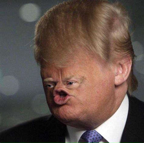 The 25 Funniest Donald Trump Photoshops Ever (GALLERY) | WWI