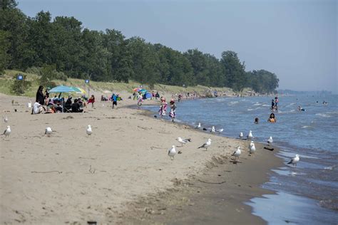 Paradise On Lake Erie... Long Point Provincial Park, Ontario — Sechels