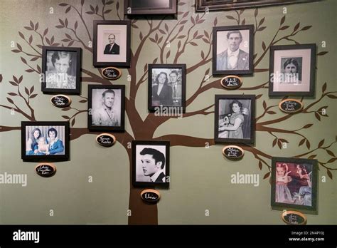 The Presley family tree display in the Trophy Building at Graceland ...