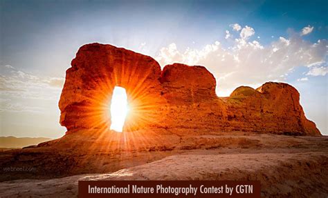 International Nature Photography Contest by CGTN 26 January 2021