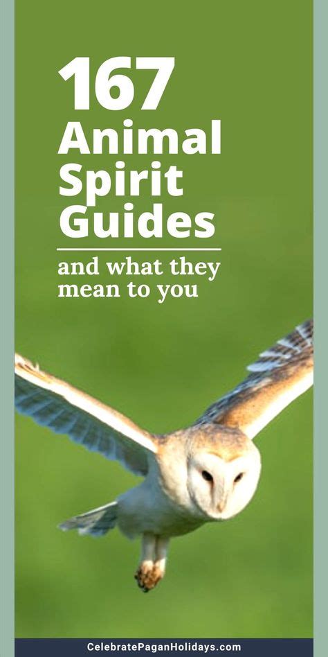 Check out our guide to 167 Spirit Animals! Animal spirit guides travel through life with us ...