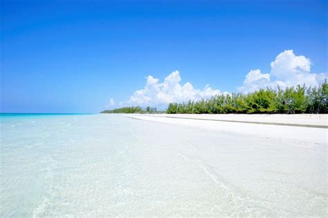 Gold Rock Beach, l'une des plages les plus sauvages des Bahamas ...