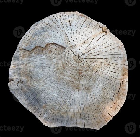 cross section of tree trunk over black 14775858 Stock Photo at Vecteezy