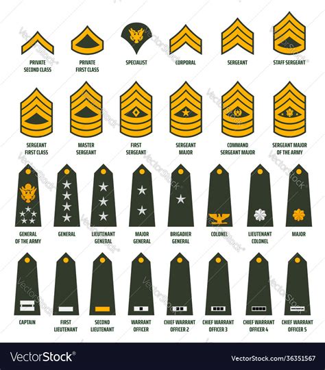 Enlisted Army Ranks Army Enlisted Rank Insignia Stock Vector Images | My XXX Hot Girl